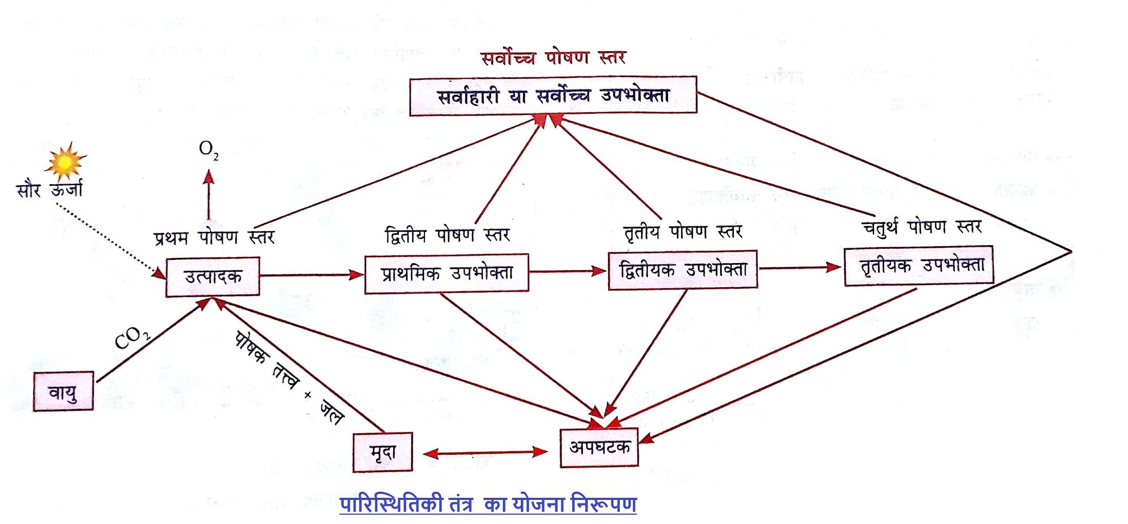 Ecology and ecosystem
