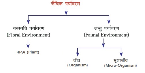 biotic component