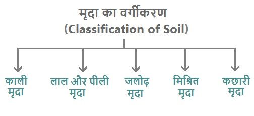 irrigation percentage in madhya pradesh