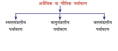 physical or abiotic component