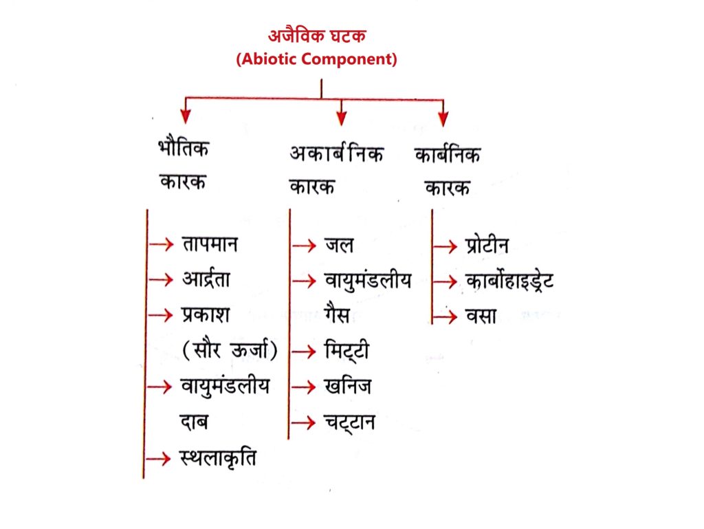 abiotic component